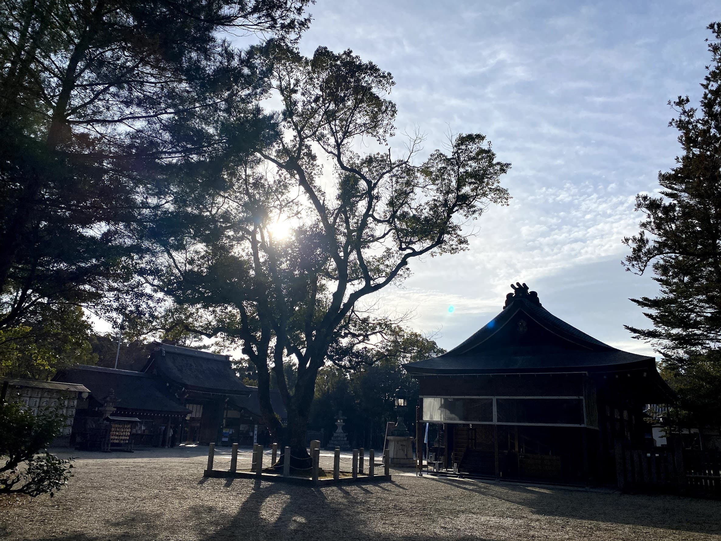 神社参拝による運気向上と心機一転のすすめ