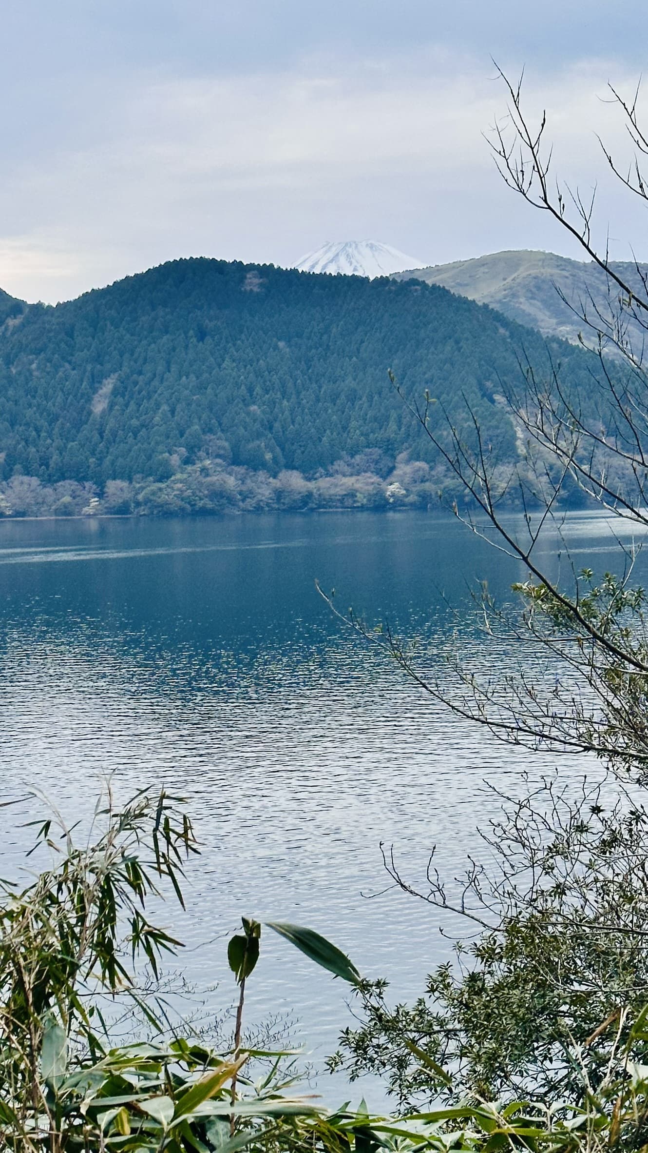 下弦の月の日の浄化と開運について