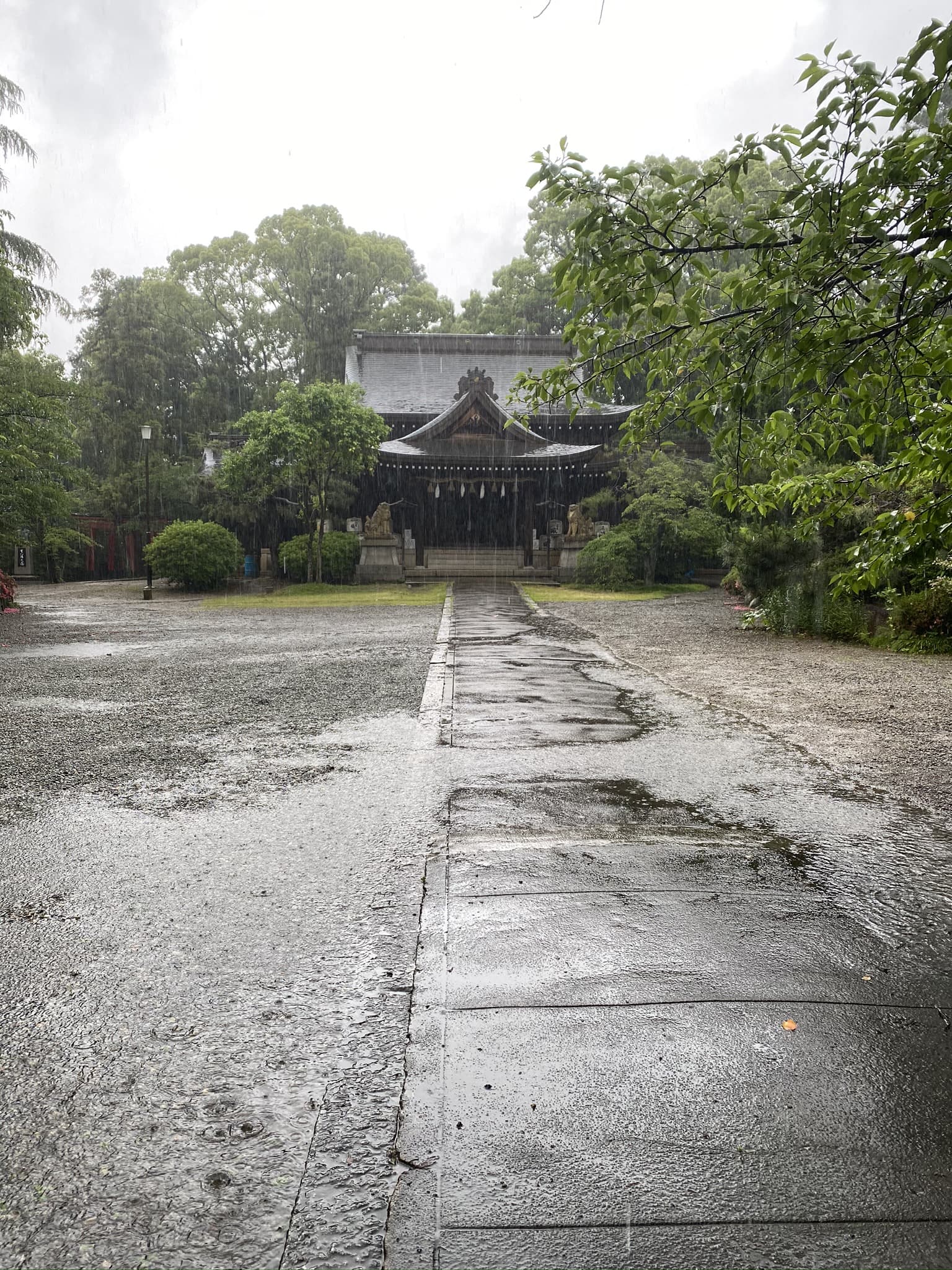 天気予報と運勢アドバイス