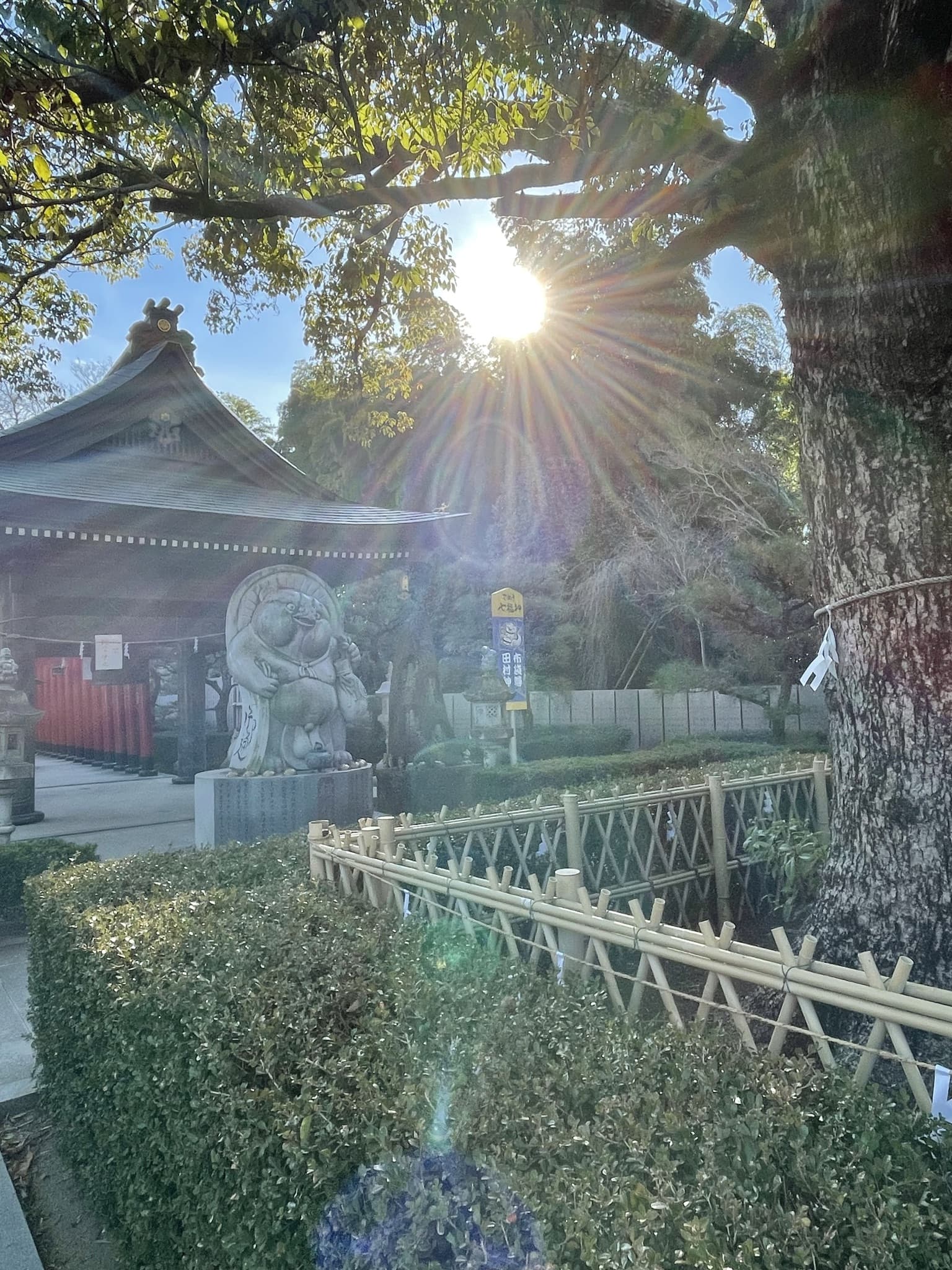 健康管理と運動習慣の重要性について