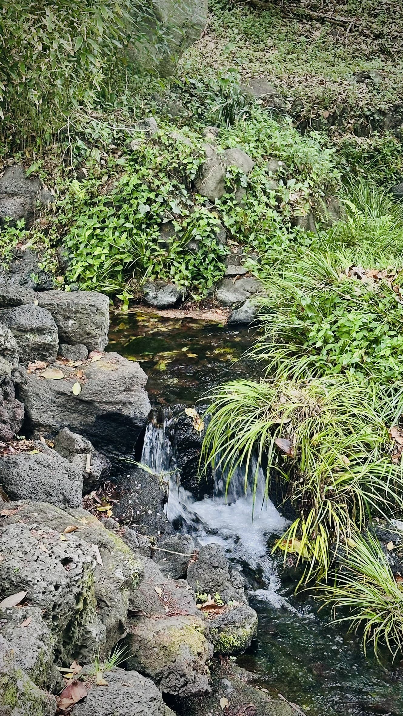 六月三十日大祓に向けた水の浄化とバスタイムの勧め